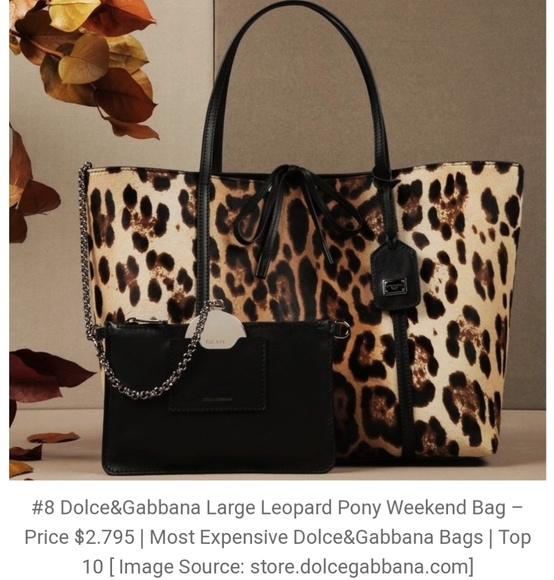 Dolce & Gabbana - Picture 5 of 8